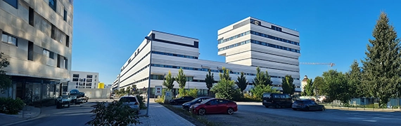 BSc Computer Science at SIU